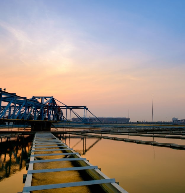 sludge-shark-graphic