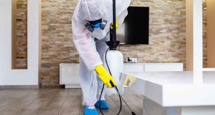 Shocking Fun Facts About Commercial Cleaning